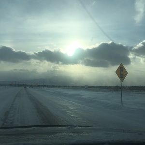 Meet your Posher, Sheena