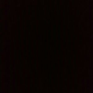 Meet your Posher, Abby &