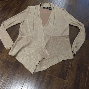 Shimmery Cardigan