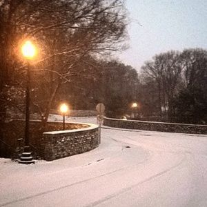 Meet your Posher, Susannah