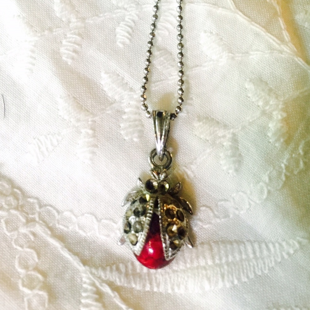 Adorable lady bug necklace 🐞