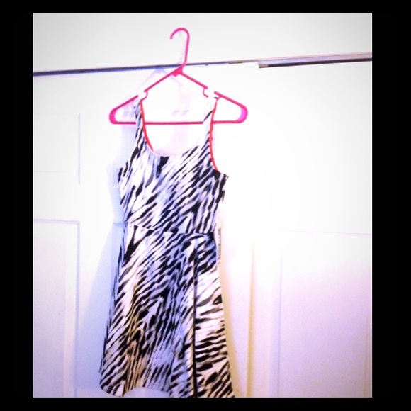 New express zebra skater dress