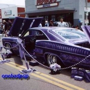 Meet your Posher, Wes