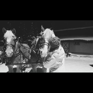 Meet your Posher, Lilli