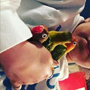 Meet your Posher, Marivel