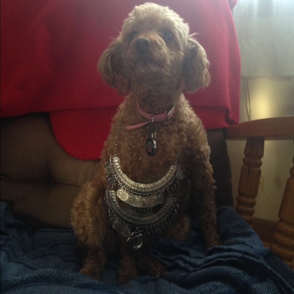 NWOT silver coin jeweled necklace - Picture 4 of 4