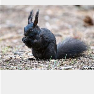 Meet your Posher, Jenn