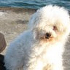 Meet your Posher, Mary