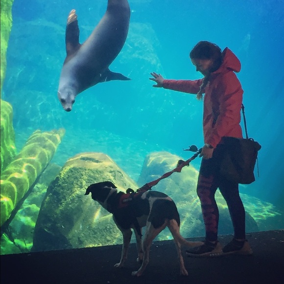 Meet your Posher, Kristen - Picture 3 of 4