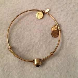 Alex and Ani slider charm