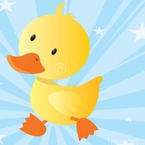 Meet your Posher, King