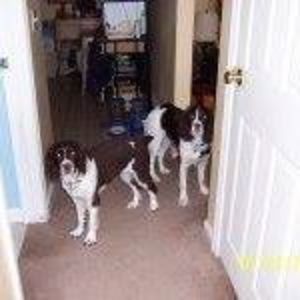 Meet your Posher, Barbara