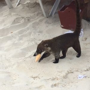 Meet your Posher, Fashion