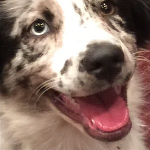 Meet your Posher, Nikki