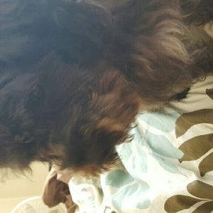 Meet your Posher, Eva