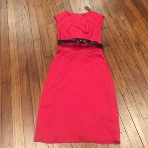 Knee length fuchsia dress
