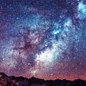 Meet your Posher, Bailey