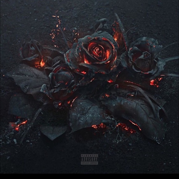 Meet your Posher, Ree - Picture 1 of 1