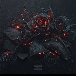 Meet your Posher, Ree