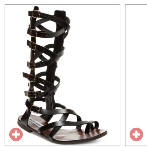 Steve Madden women's rivaal flat gladiator sandals