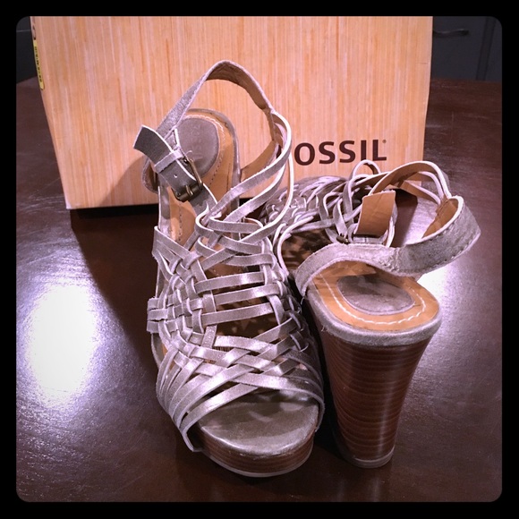 Fossil wedges , like new