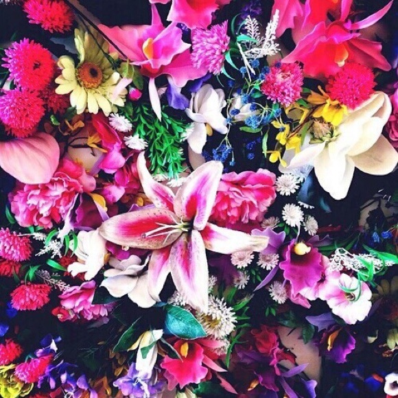 🌺🌸💐🌻🌼🌷