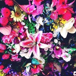 🌺🌸💐🌻🌼🌷