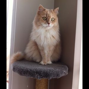 Meet your Posher, Anita