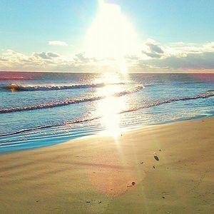 Meet your Posher, Jake