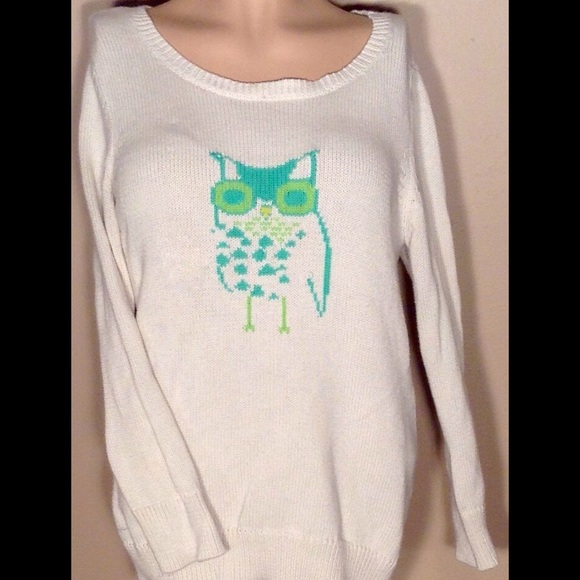 American Eagle Owl Sweater Size Large