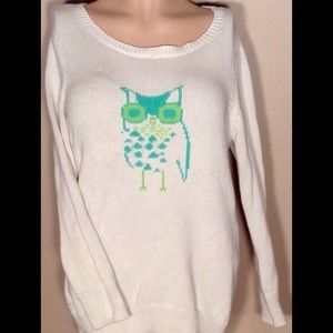 American Eagle Owl Sweater Size Large