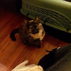 Meet your Posher, Anna