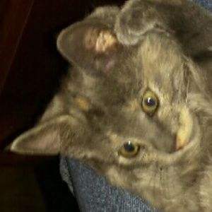 Meet your Posher, Leann