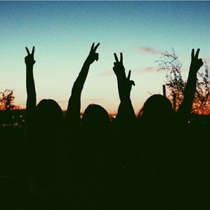 Meet your Posher, Joy