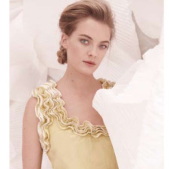 Anthropologie \Baraschi\ Ruffle Top