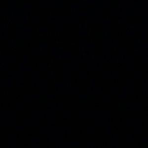 Meet your Posher, Manuel