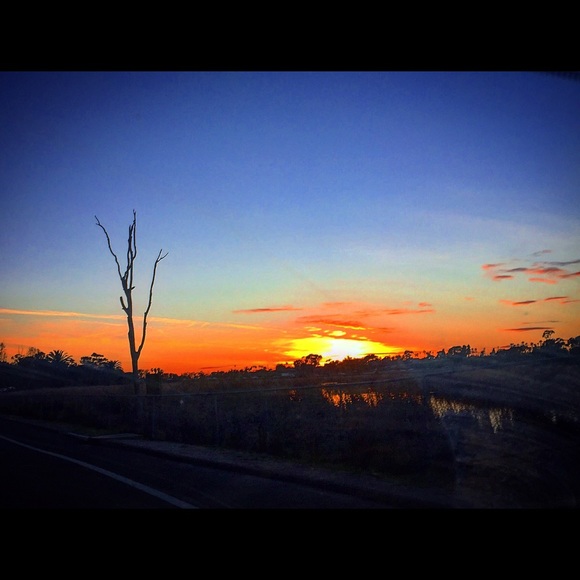 Meet the Posher, Rosio!!!! - Picture 4 of 4