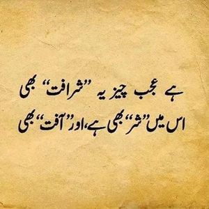 Meet your Posher, Rubab