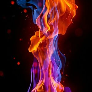 Meet your Posher, Miguel