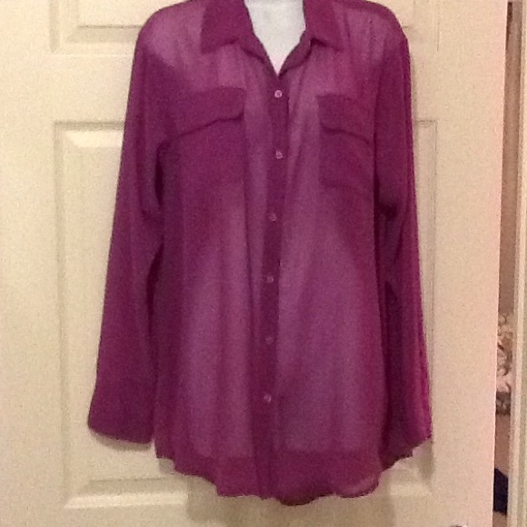 😍LOOK😍CABI by Carol Anderson collared sheer top