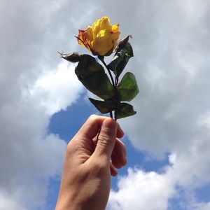 Meet your Posher, Michelle