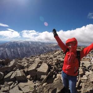 Meet your Posher, Avery