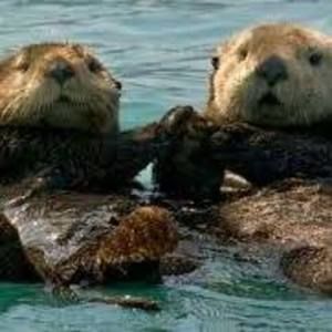 Meet your Posher, Tami