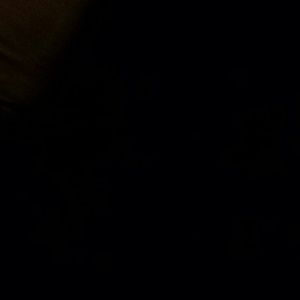 Meet your Posher, Steve