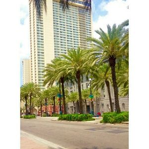 Meet your Posher, Latoya