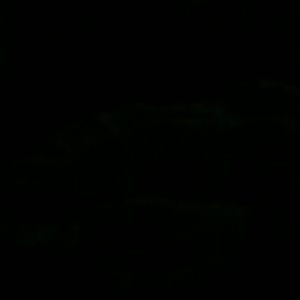 Meet your Posher, Anayansi