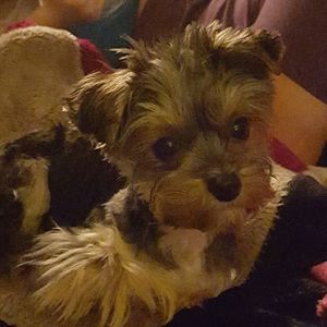 Meet your Posher, Stacy