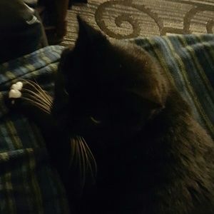 Meet your Posher, Jim