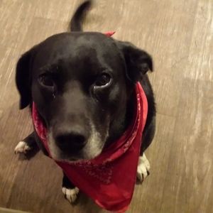 Meet your Posher, Teri