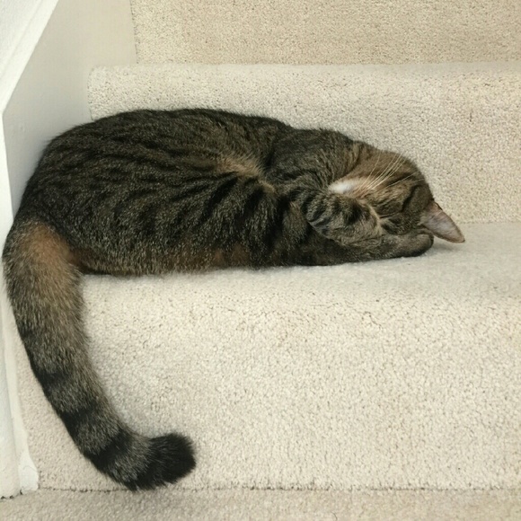 Meet your Posher! - Picture 4 of 4